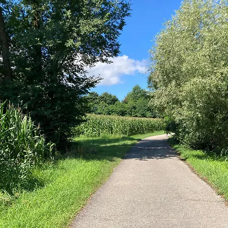 Barchessa Valeria * Noale