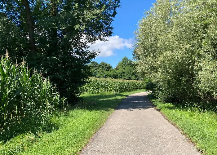 Barchessa Valeria * Noale